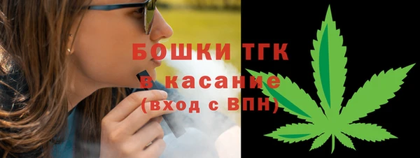 тгк Богданович
