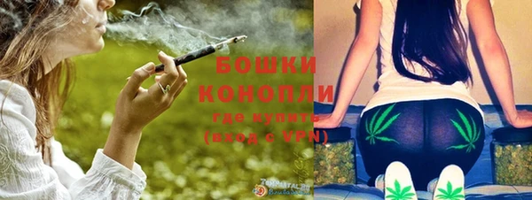 ECSTASY Богородицк